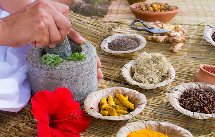 Powerful Ayurvedic Herbs and Their Benefits