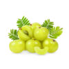 Gooseberry