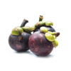 Mangosteen Garcinia