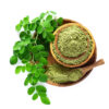 Moringa-Moringa Oleifera