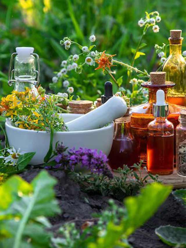 5 Powers of Ayurvedic Products