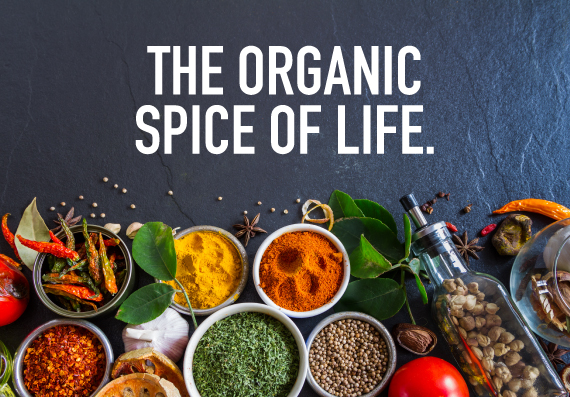 organic spices daily for better health